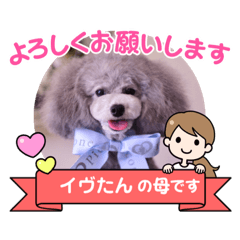 [LINEスタンプ] イヴたんトイプードル