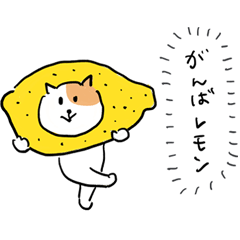 [LINEスタンプ] ダジャレのねこ