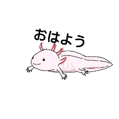 [LINEスタンプ] 両生類好きのスタンプ