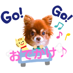 [LINEスタンプ] チョコちゃんスタンプ♡*(おでかけ編)