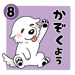 [LINEスタンプ] 【家族連絡用】ピレネー犬8 (兵庫県)の画像（メイン）