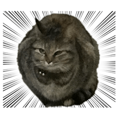 [LINEスタンプ] 愉快な動物たちのスタンプその11