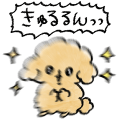 [LINEスタンプ] シンプル きゅるるん トイプードル