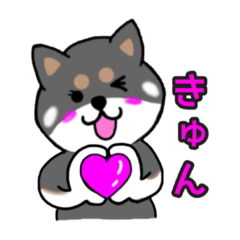 [LINEスタンプ] 黒柴チャコ2