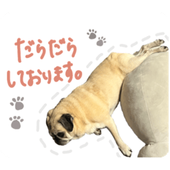 [LINEスタンプ] パグのジンモモ モモver.