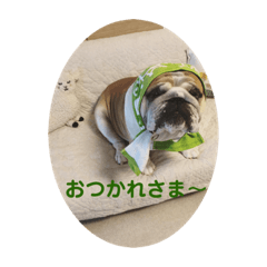 [LINEスタンプ] bon_bon_bokuchan 5の画像（メイン）