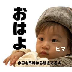 [LINEスタンプ] すーちゃん1.5〜2歳