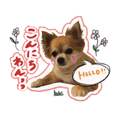 [LINEスタンプ] 表情ゆたかなそらくんだよ★