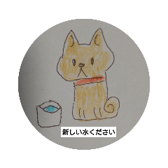 [LINEスタンプ] 柴犬と猫の兄弟