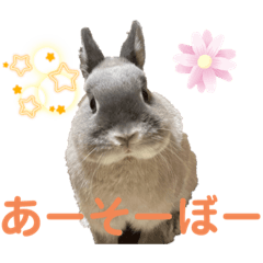 [LINEスタンプ] そらまるꪔ͈̮の画像（メイン）