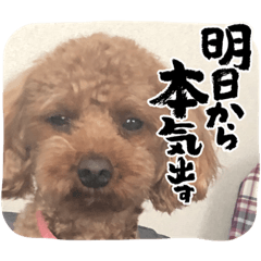 [LINEスタンプ] マルだよーん