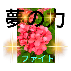 [LINEスタンプ] 励まし系でか文字花画№8HRKEmperorsSTAMP