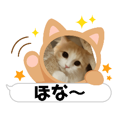[LINEスタンプ] 我が家のペット＆変顔玉子（笑）＆動物園の子