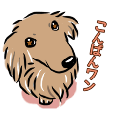 [LINEスタンプ] ダックスふたりと時々ヨーキー