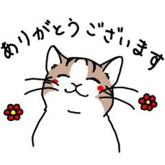 [LINEスタンプ] 猫の幸せな毎日スタンプ