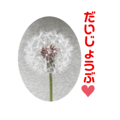 [LINEスタンプ] Seasonal flowers 1