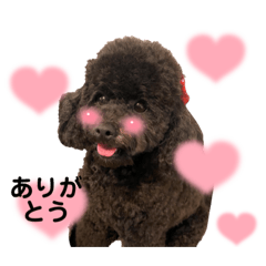 [LINEスタンプ] ノア スタンプ