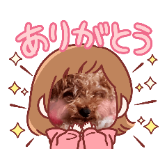 [LINEスタンプ] プードル犬マロン5