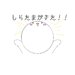 [LINEスタンプ] しらたまさんの日常☆