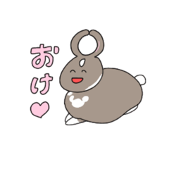 [LINEスタンプ] 全人類が待っていたくうちゃんスタンプ