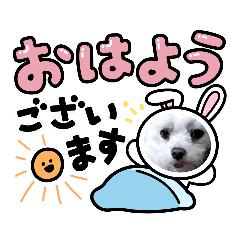 [LINEスタンプ] マルチーズのむぎちゃん！