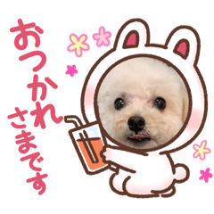 [LINEスタンプ] 2022.7.31 Mahalo