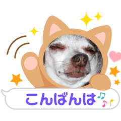 [LINEスタンプ] ぺけとキャンディー