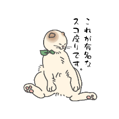 [LINEスタンプ] スコティッシュの日常スタンプ