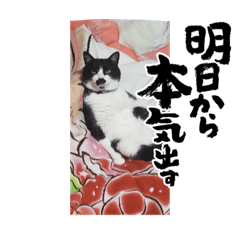 [LINEスタンプ] くうちゃんまったり中