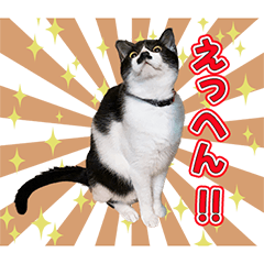 [LINEスタンプ] はちとはなと時々うらら