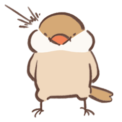 [LINEスタンプ] もちもち文鳥スタンプ(日常編)