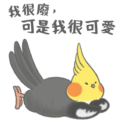 [LINEスタンプ] オカメインコ 日常 ニンフ＆ パン｜Ambird