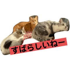 [LINEスタンプ] 花と琥珀と実々-4