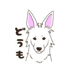 [LINEスタンプ] あまり表情がない白い犬