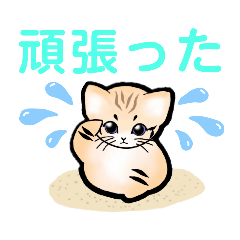 [LINEスタンプ] 砂漠にいそうな猫さん3