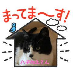 [LINEスタンプ] ハチ姐さんスタンプⅡ