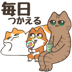 [LINEスタンプ] ねこちゃんと毎日いっしょ