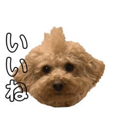 [LINEスタンプ] アポロポロ