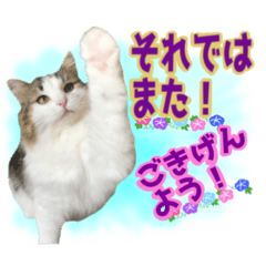 [LINEスタンプ] こうめさん22