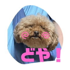 [LINEスタンプ] naraファミリー2