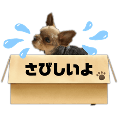 [LINEスタンプ] クロわんこ ロッキーさん②