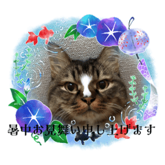[LINEスタンプ] マイキーG3スタンプ 夏