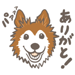 [LINEスタンプ] マーヤの保護犬応援スタンプ