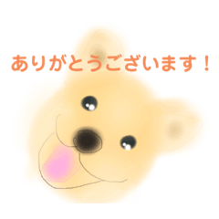 [LINEスタンプ] 可愛い犬達の使いやすいスタンプ