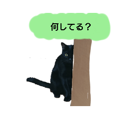 [LINEスタンプ] ブラックキャットスタンプ