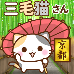 [LINEスタンプ] 飛び出す♪京都の三毛猫さんの画像（メイン）