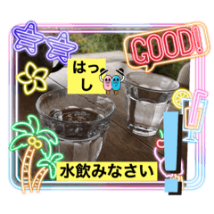 [LINEスタンプ] うちなー方言夏ば〜じょん