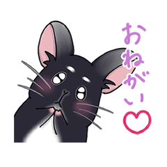 [LINEスタンプ] チンチラのまめふく