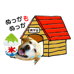 [LINEスタンプ] うちのワンにゃん＋α【東北＆九州弁】