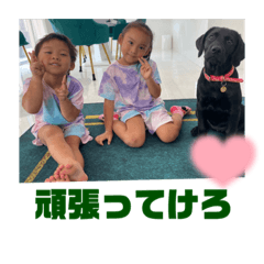 [LINEスタンプ] 清家の三姉妹